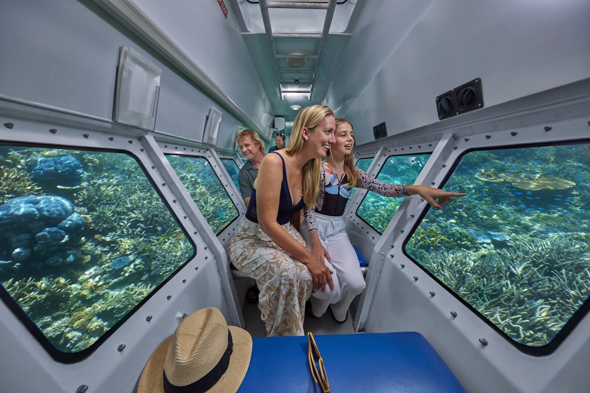 people looking at corals in semi submarine