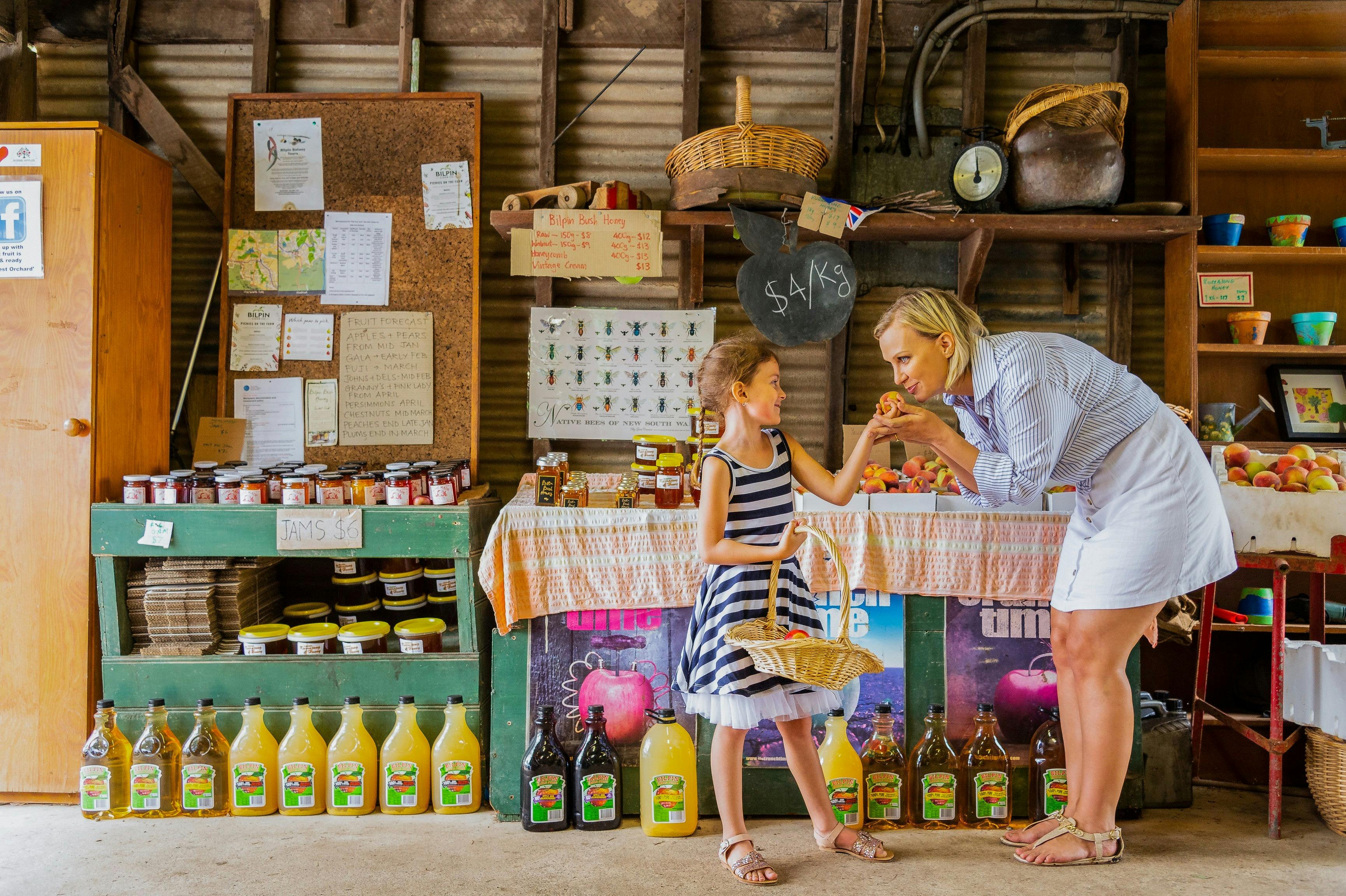 Family enjoying a day of fruit picking at Pine Crest Orchard, Bilpin
