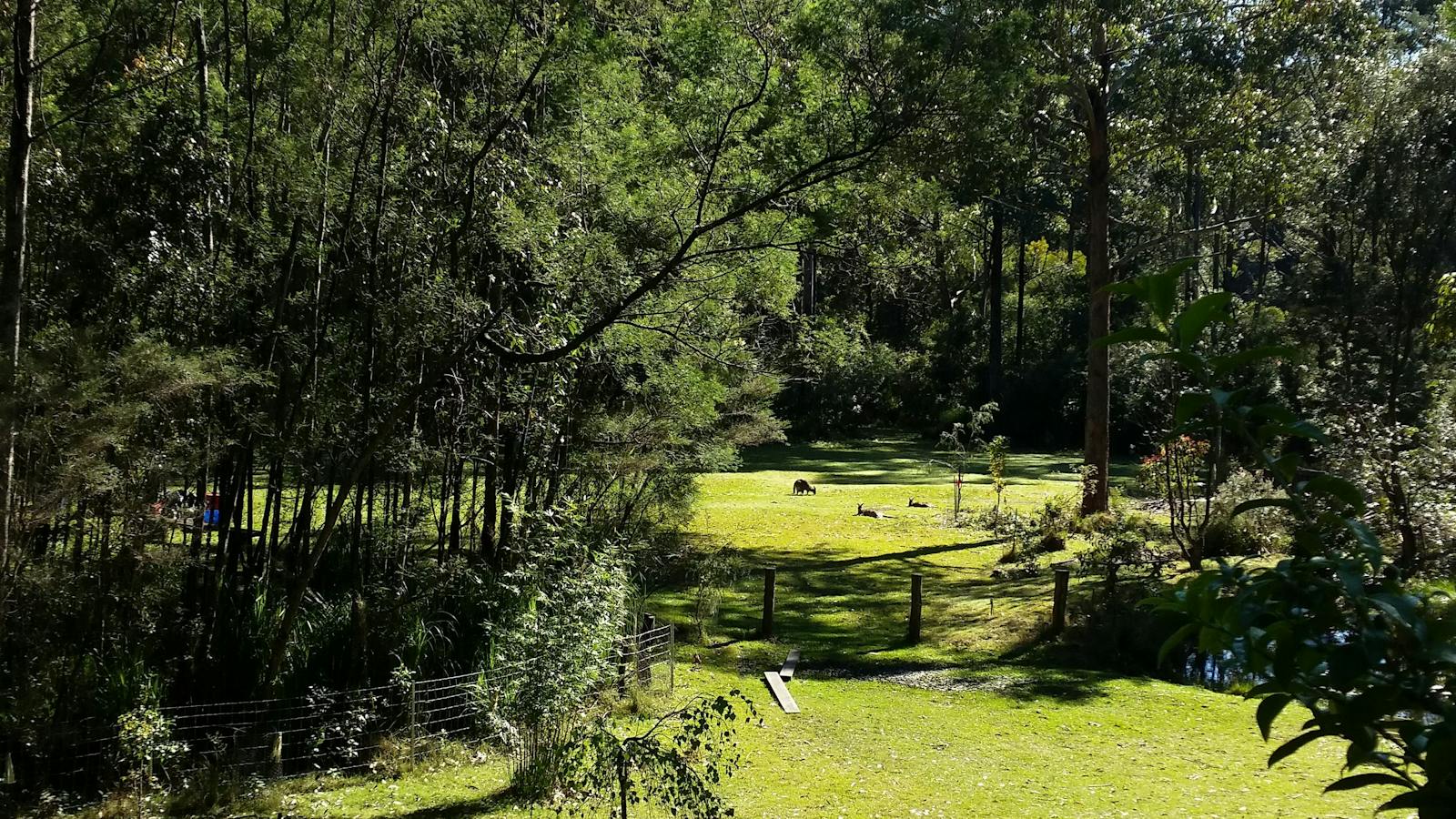 Jamanee Gunya Property