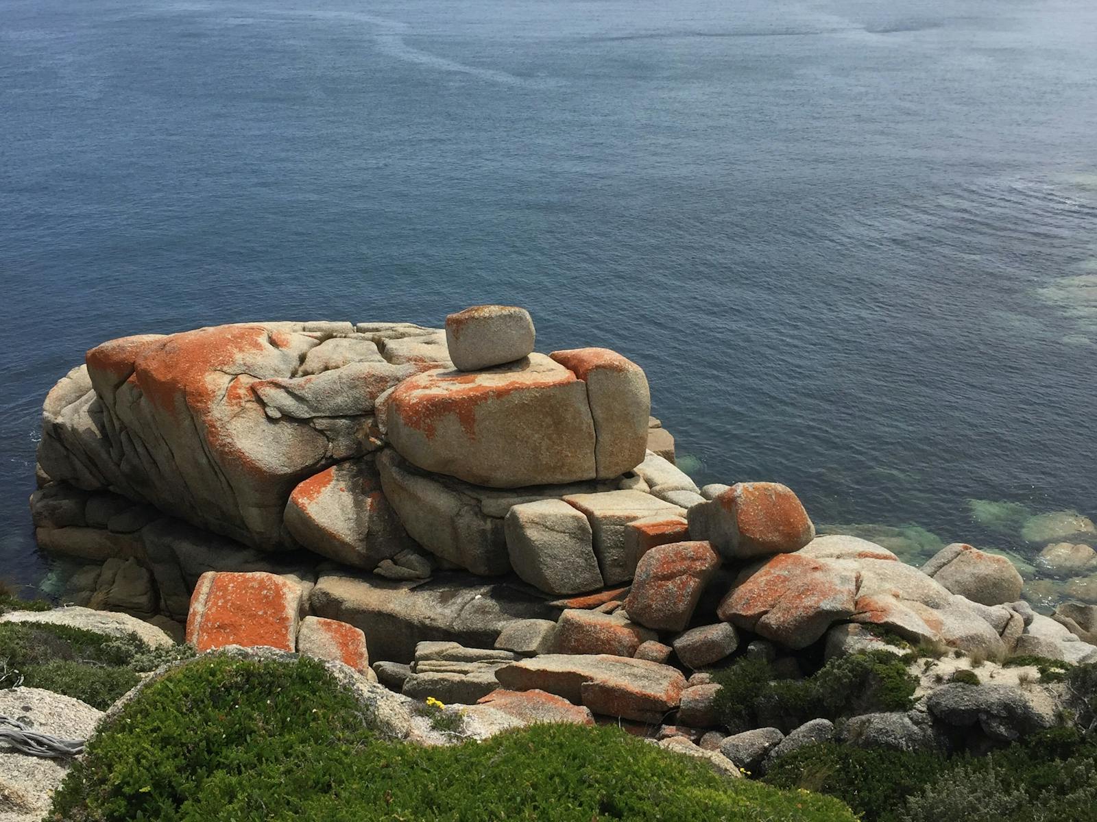 Walkabout Gourmet Adventures