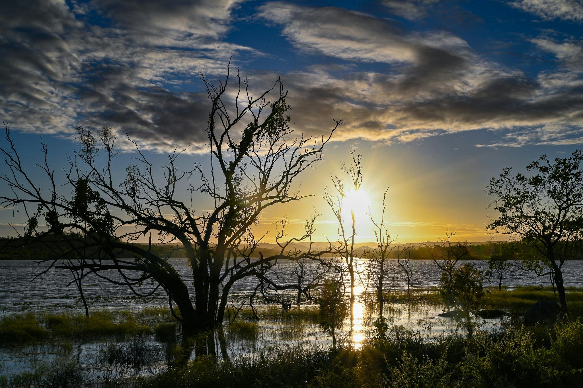 Nearby Charleston Dam