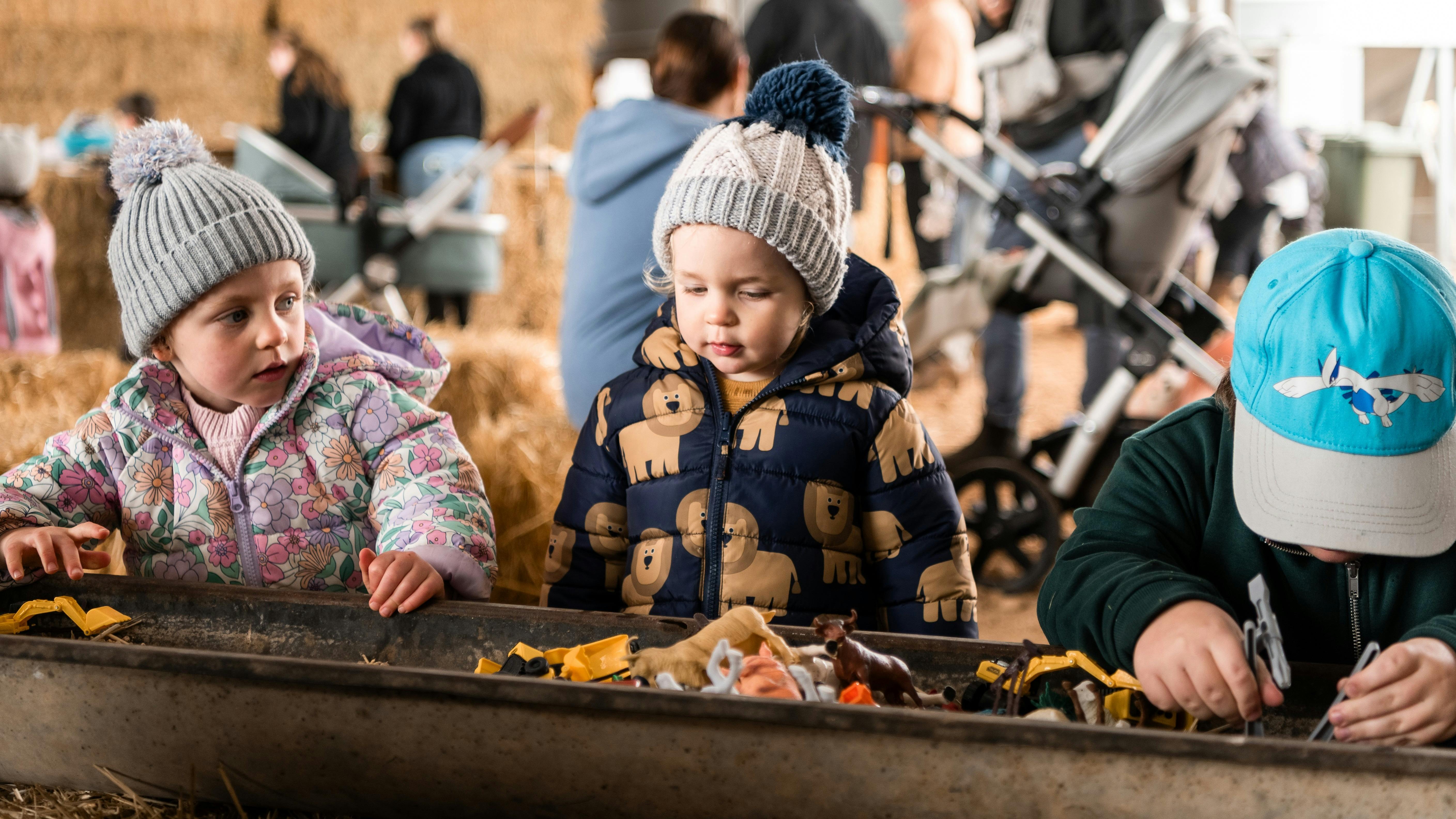 Kids loving our Farm Sensory Trough