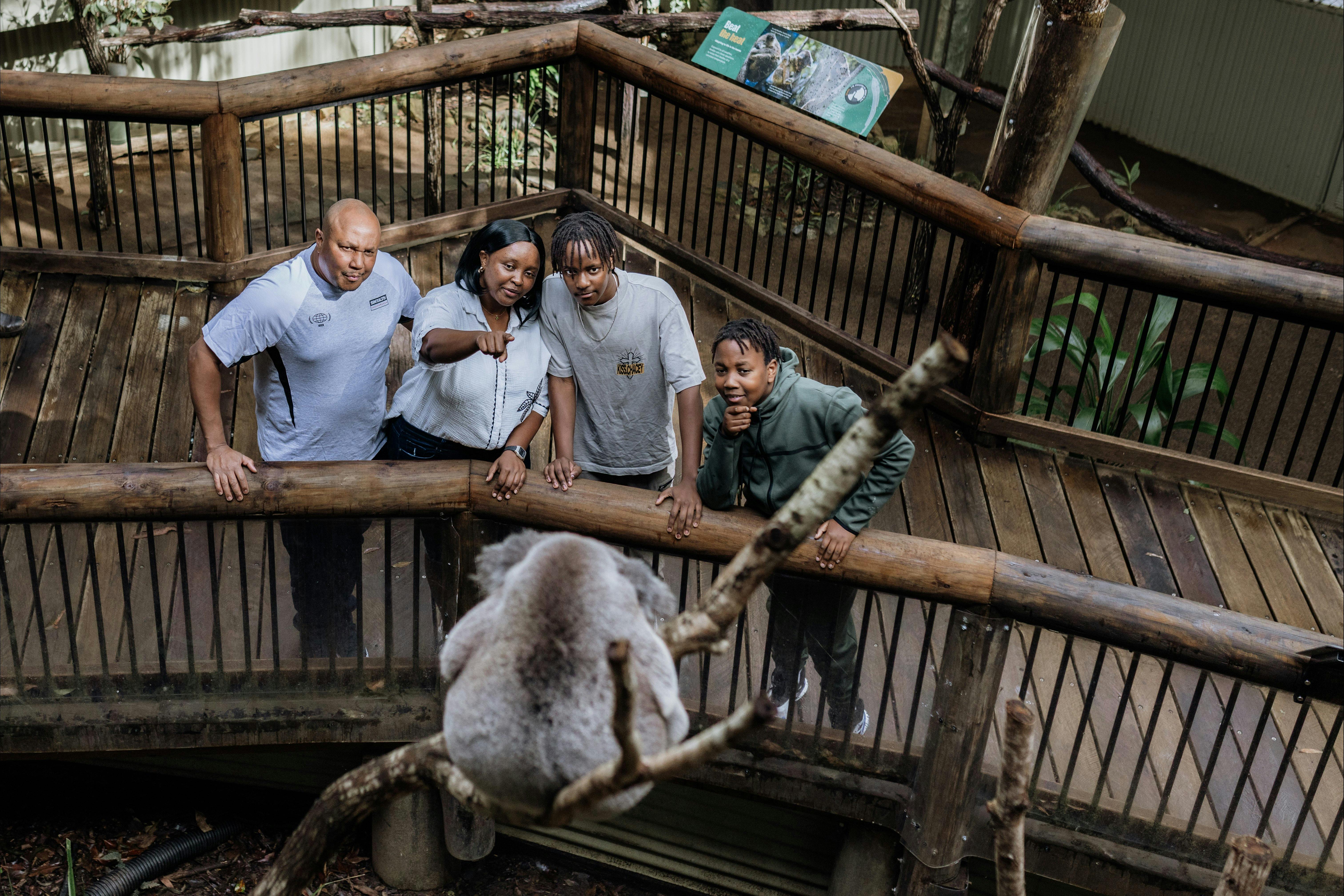 A memorable koala encounter at Daisy Hill Koala Centre.