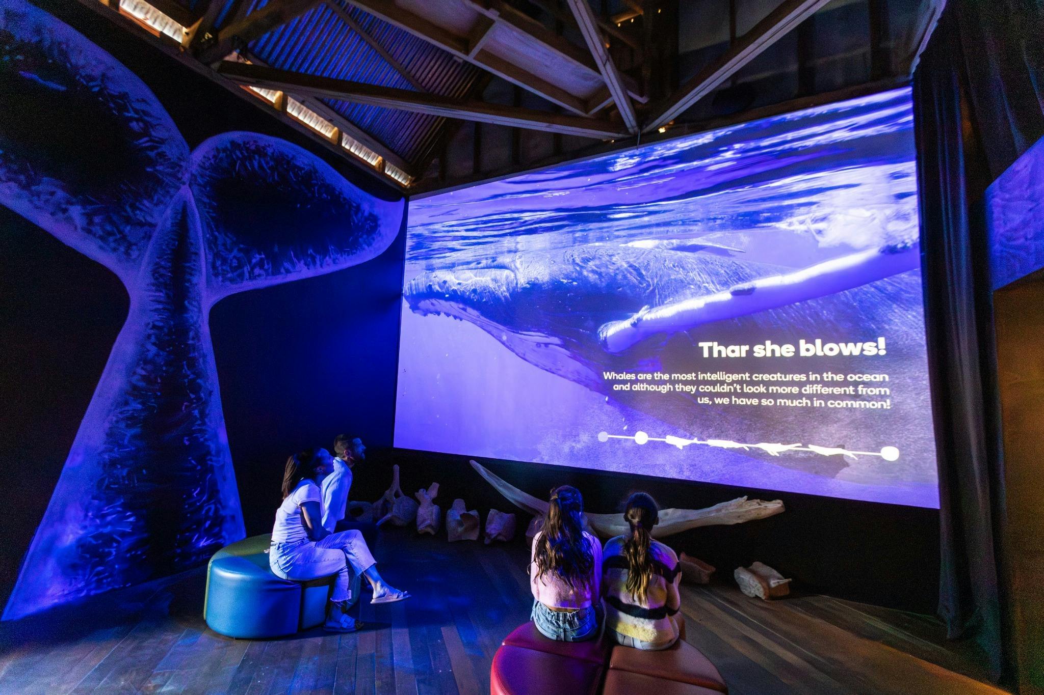Be immersed in our whaling history
