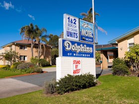 Dolphins Street View Dolphins Street View