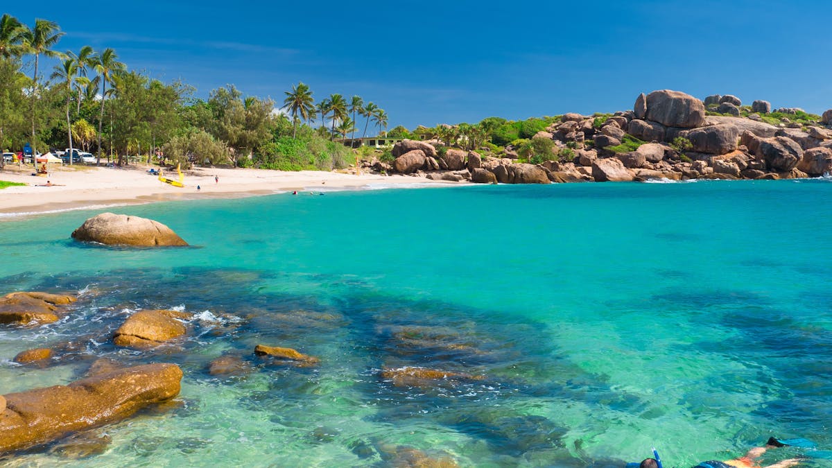 Person snorkelling in protected bay with sandy beach and palm trees