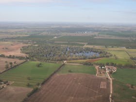Poocher Swamp by air