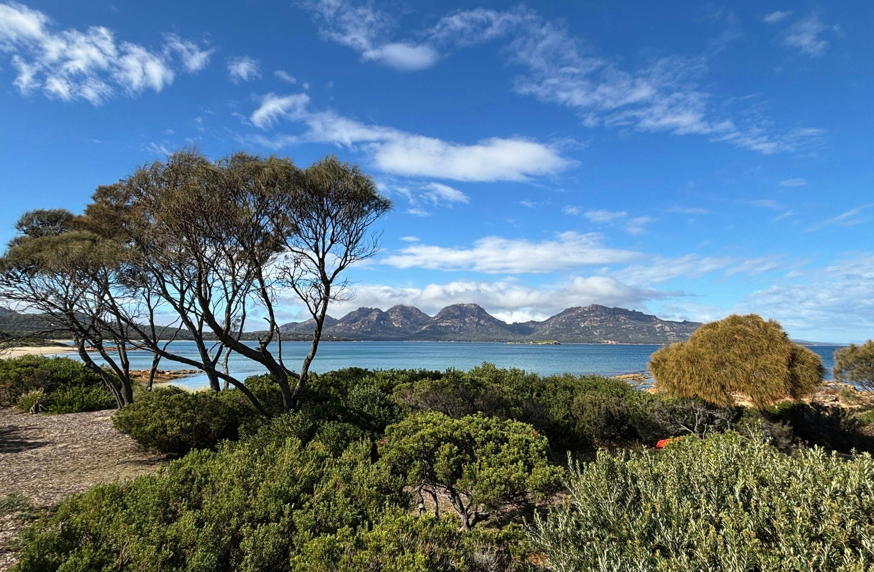 View from the Ocean View Studio