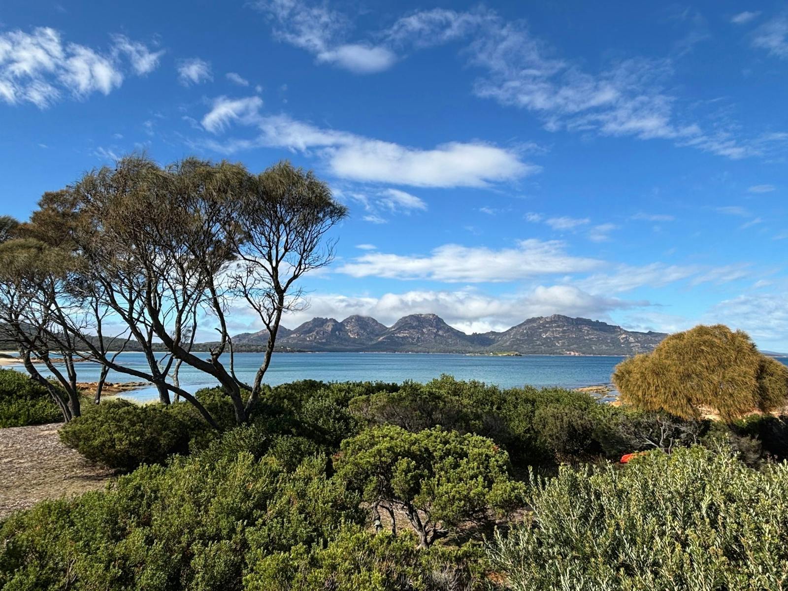 View from the Ocean View Studio