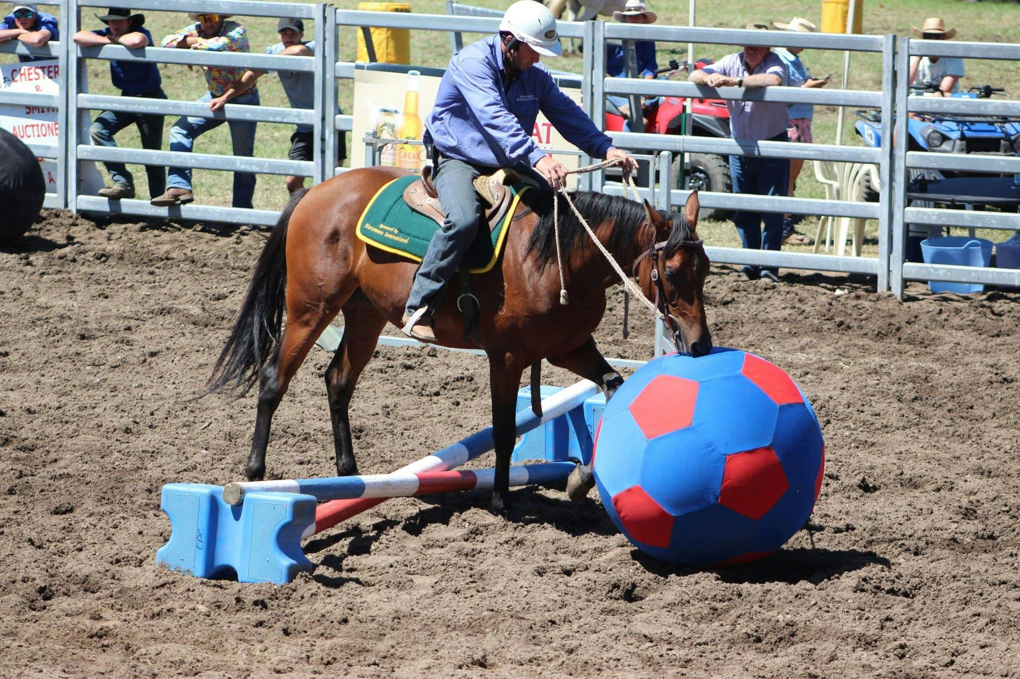 Stock Horse Challenge Cobargo Show 2019