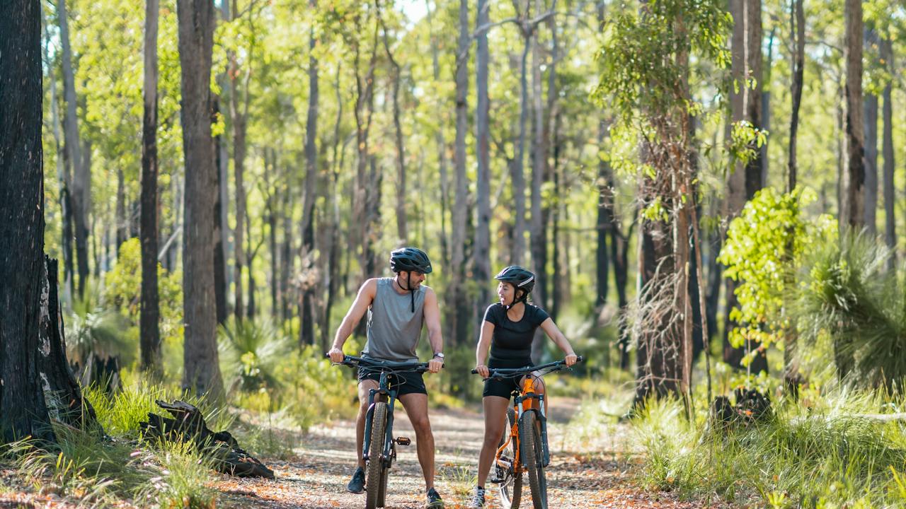 Beginner mountain bike trails on the Dwellingup Adventure Trails network