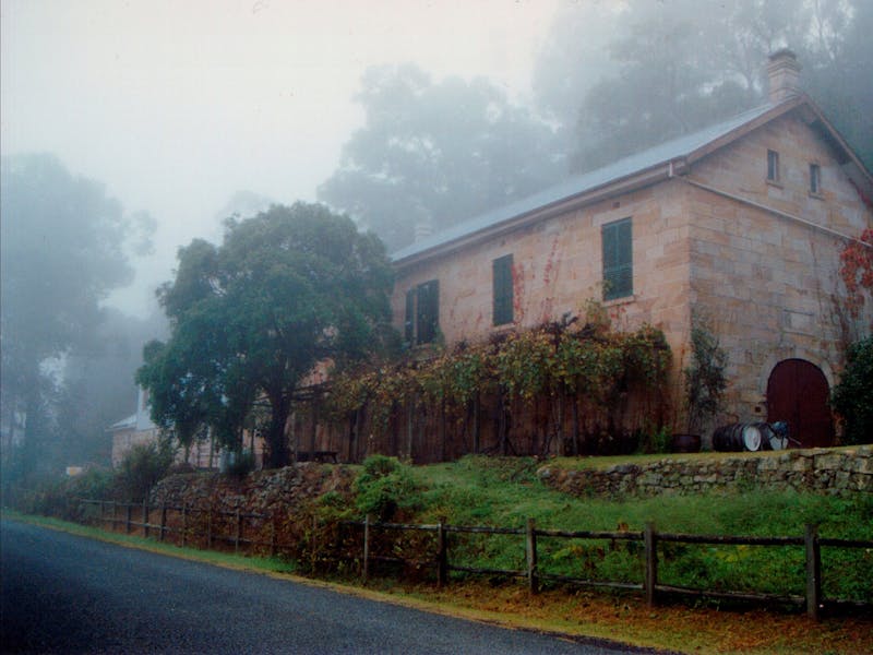 Tizzana shrouded in mist