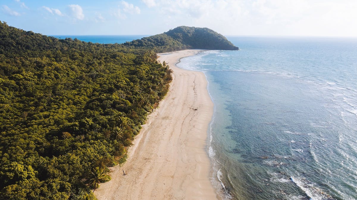 Cape Tribulation - The Tour Specialists