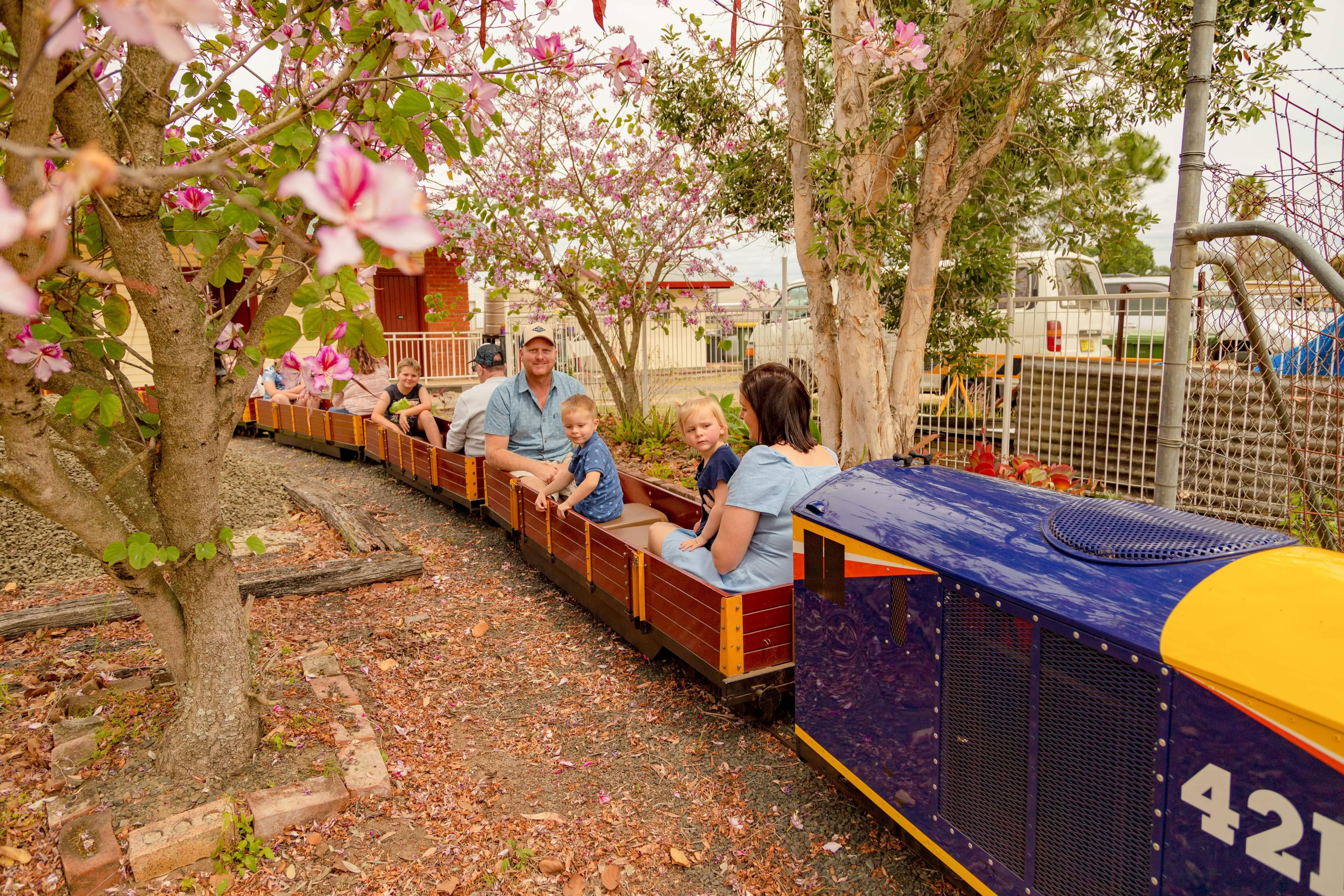 Train in motion with families. Tress are flowering with pink flowers.