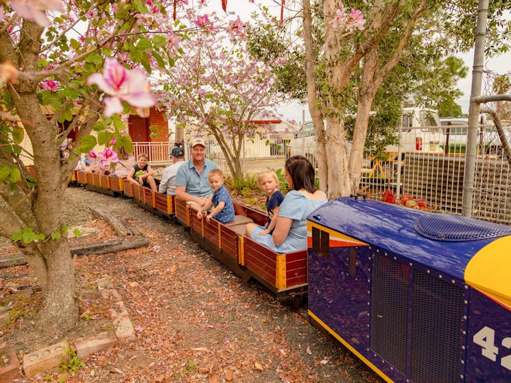 Train in motion with families. Tress are flowering with pink flowers.