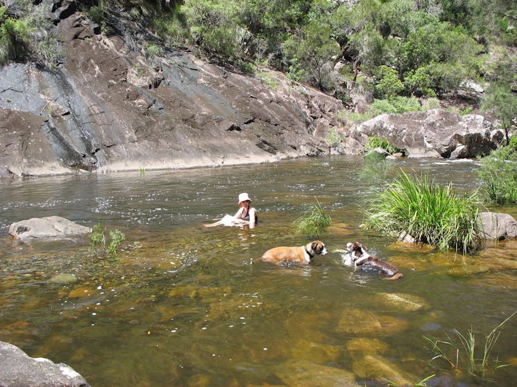 Great place to cool off in Mount Boss State Forest