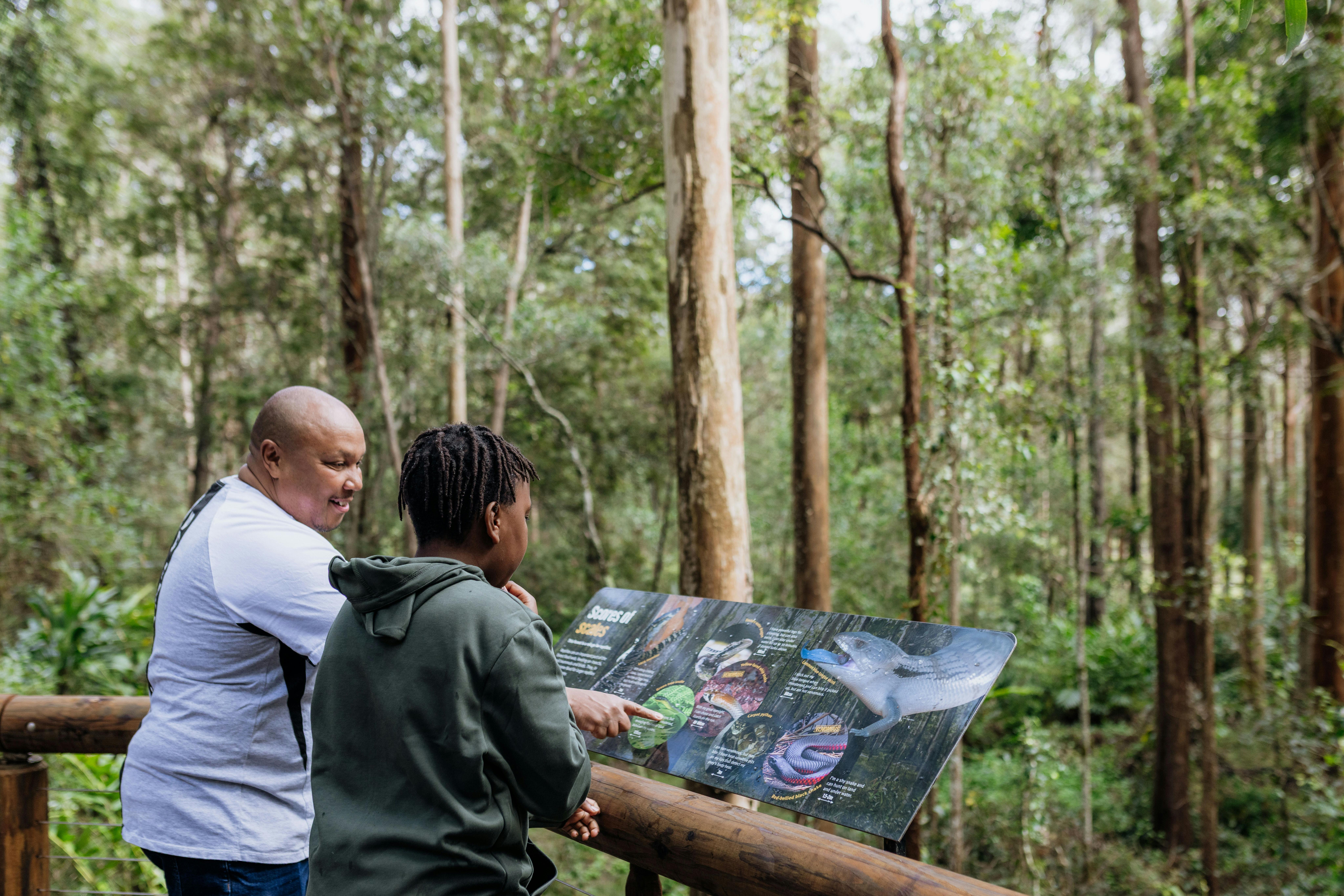 Learn about local wildlife while enjoying the forest boardwalk.