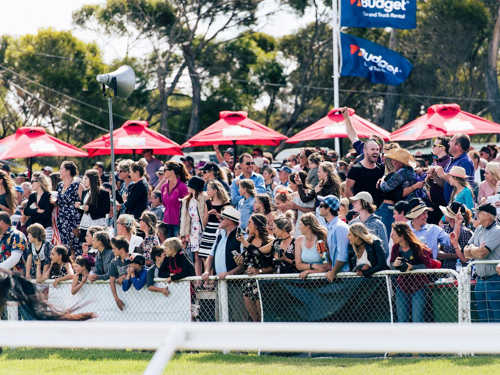 The crowd enjoying the festivities
