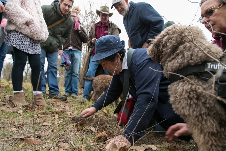 Image of the event 'The Truffle Festival - Canberra Region | Blue Frog Truffle Hunt and Tasting'