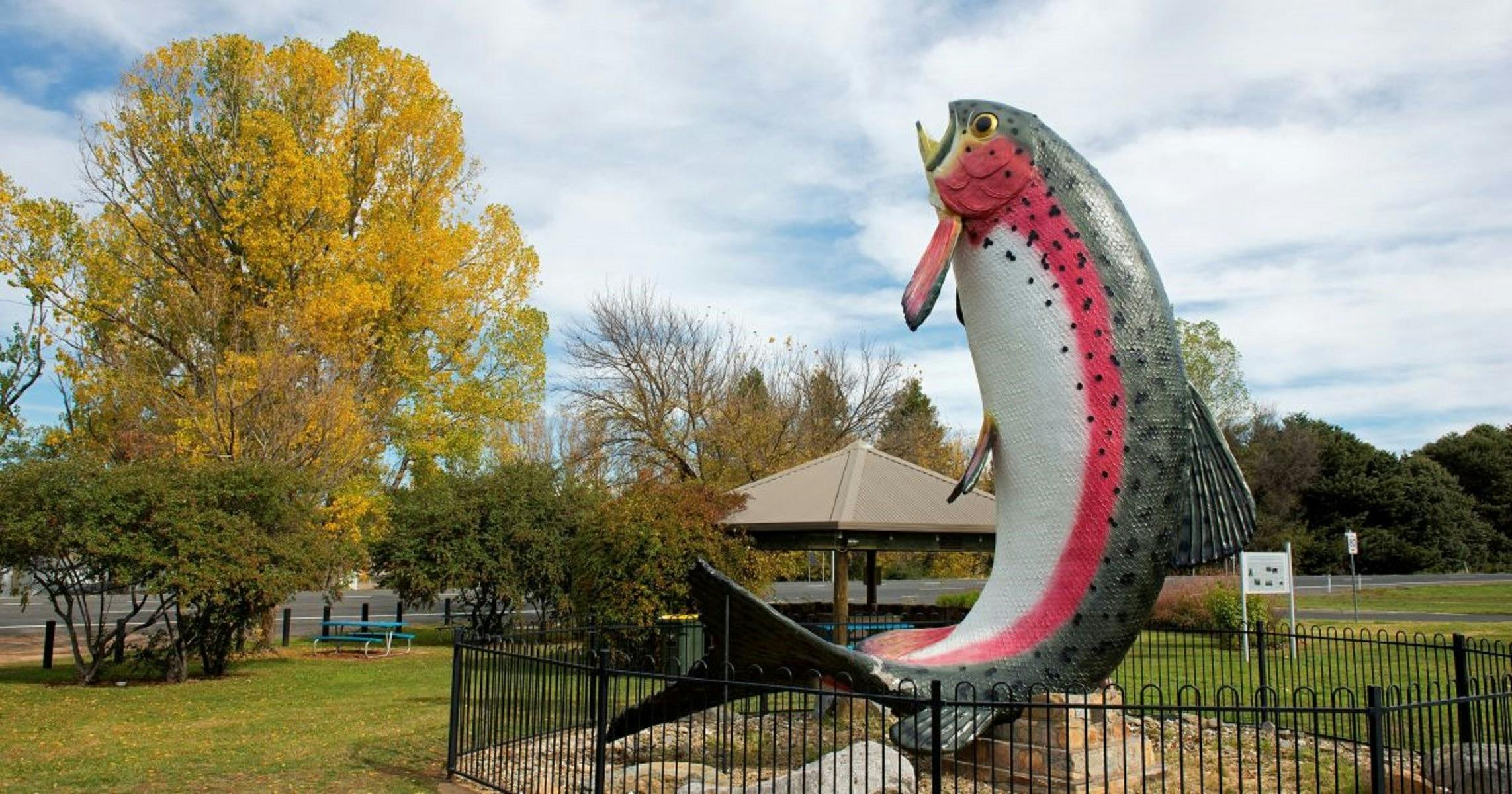 The Big Trout Autumn 2016