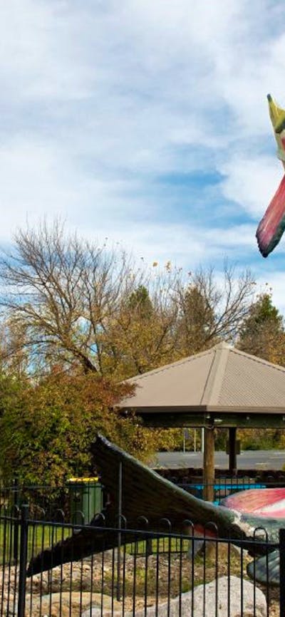 The Big Trout Autumn 2016