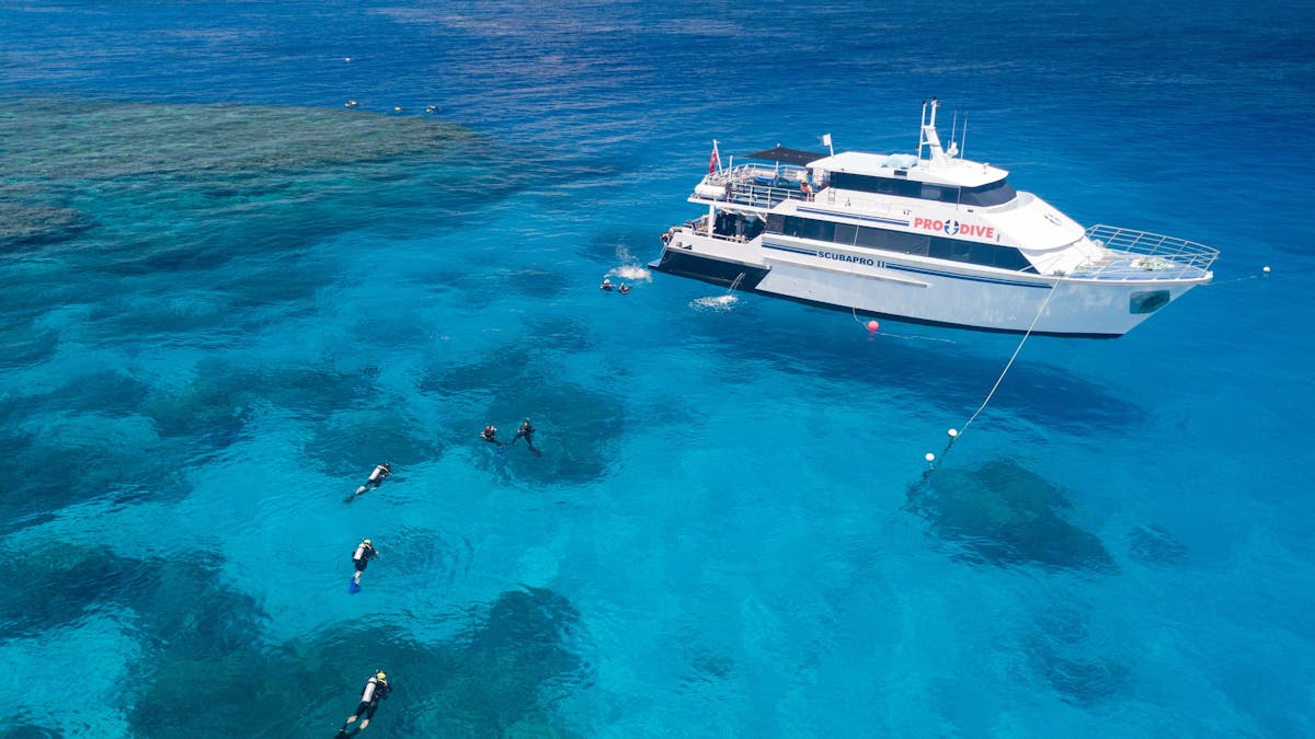 Pro Dive cairns great barrier reef