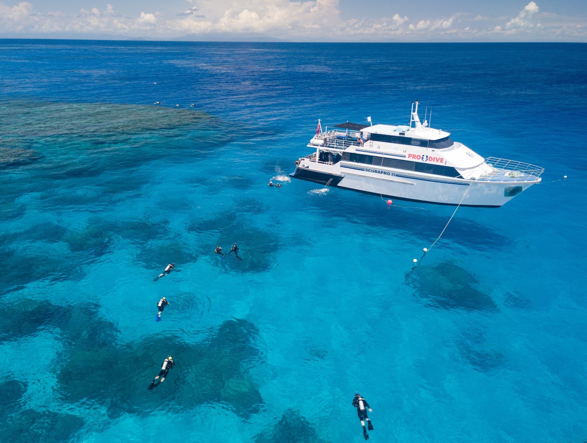 Pro Dive cairns great barrier reef