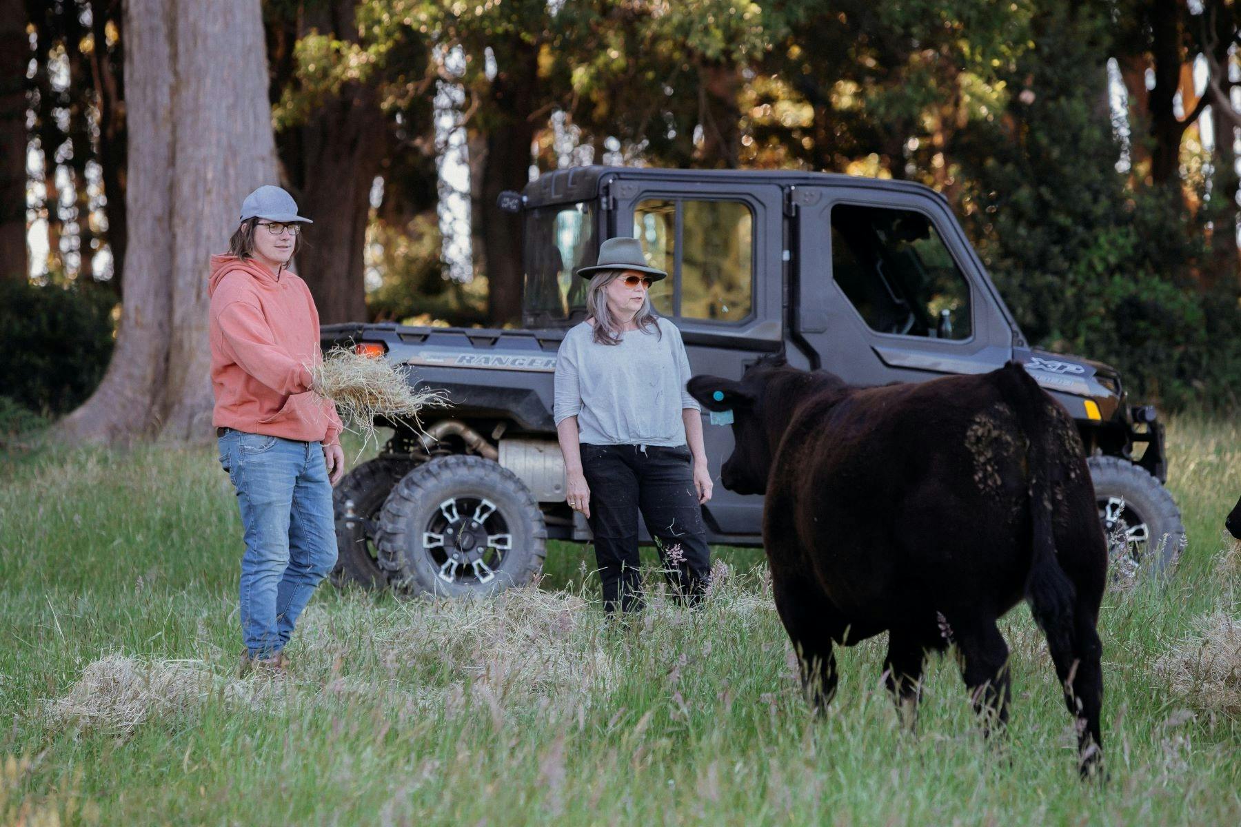 Man and woman standing in paddock in front of all terrain vehicle whilst feeding cattle