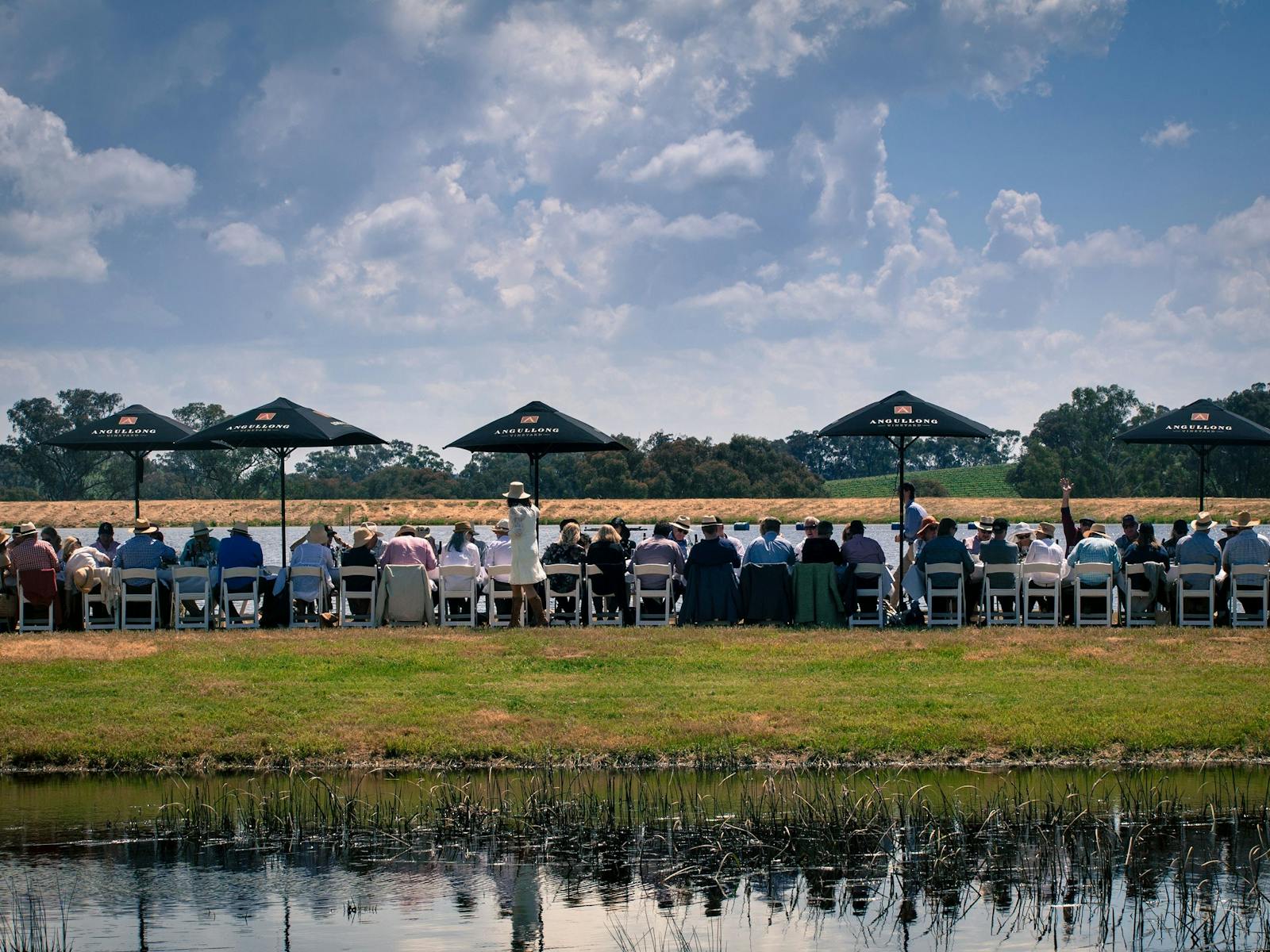 Image for Outstanding in the Vines at Angullong