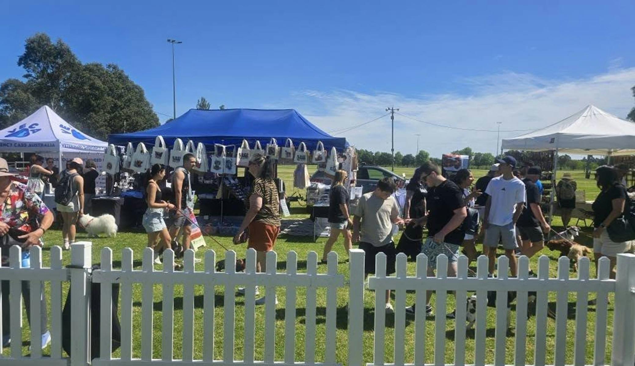 People walking their dogs at around pet market stalls