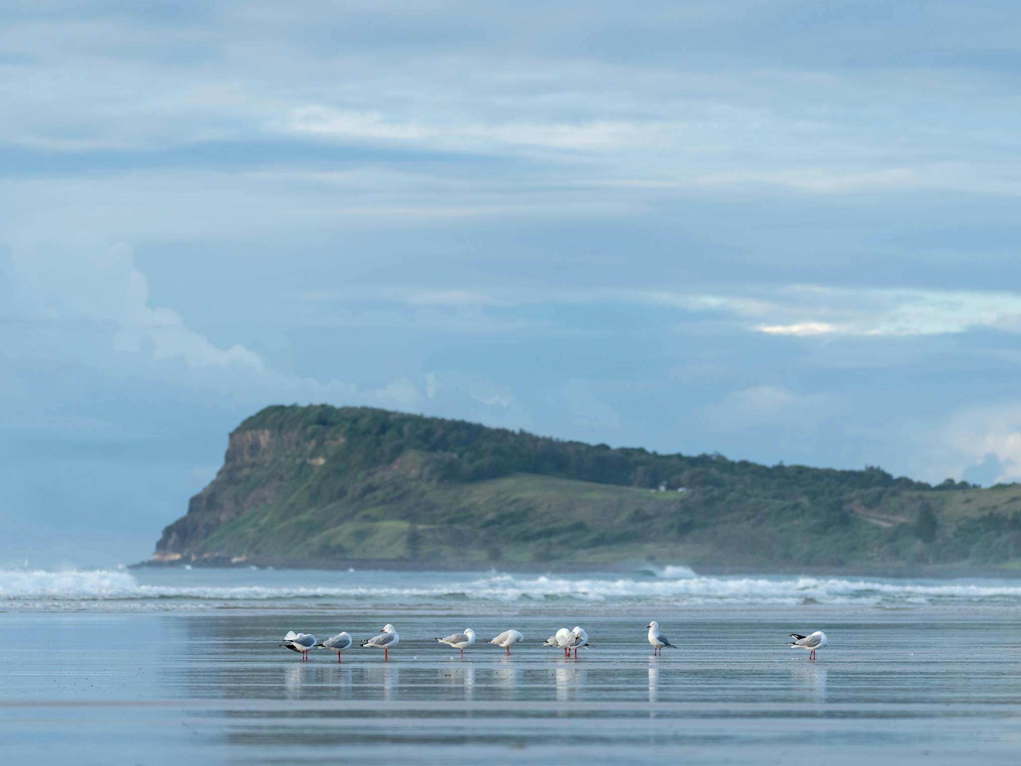 Seven Mile Beach looking towards Lennox Head Point