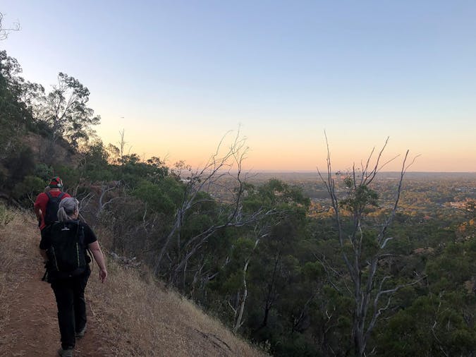 Night Walks - Twilight Hikes