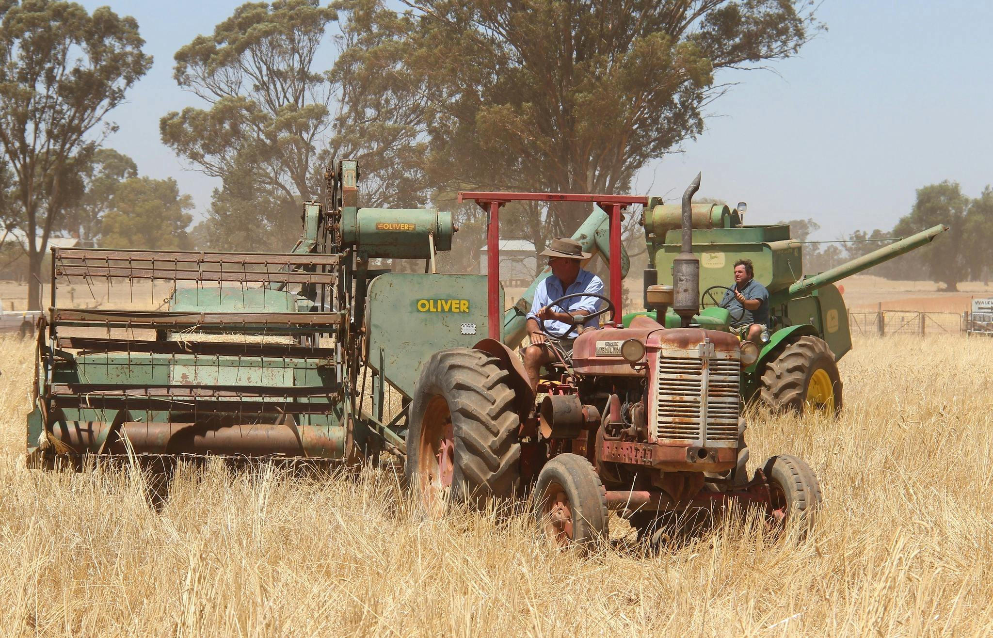 Vintage Harvest Fest Warrangong