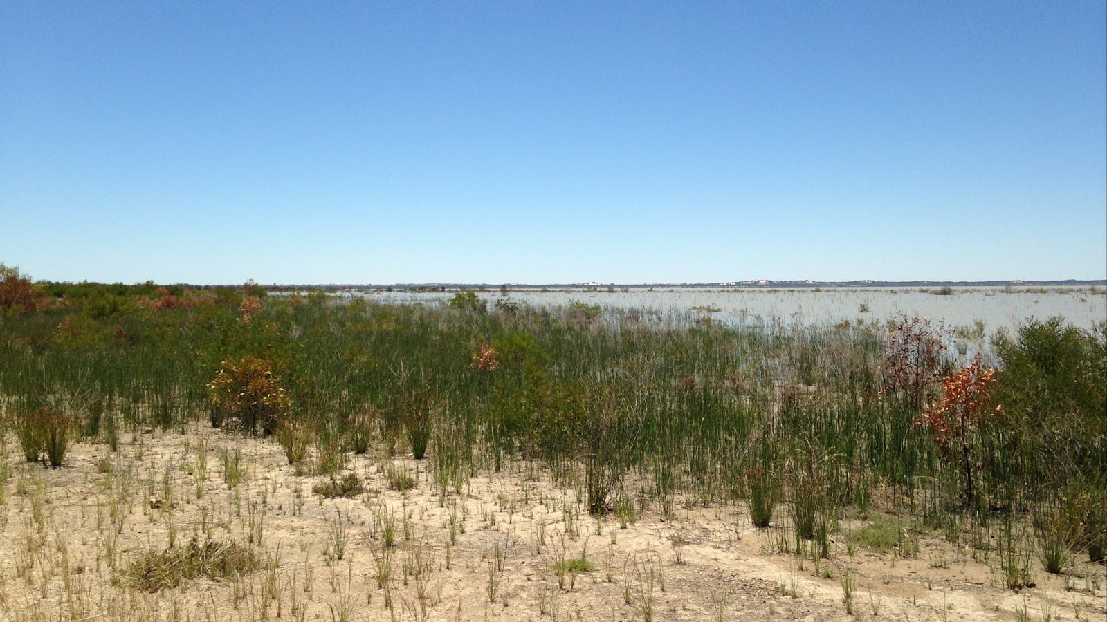 Lake Hindmarsh Reserve