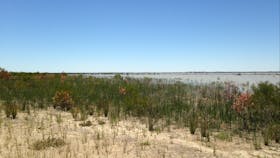 Lake Hindmarsh