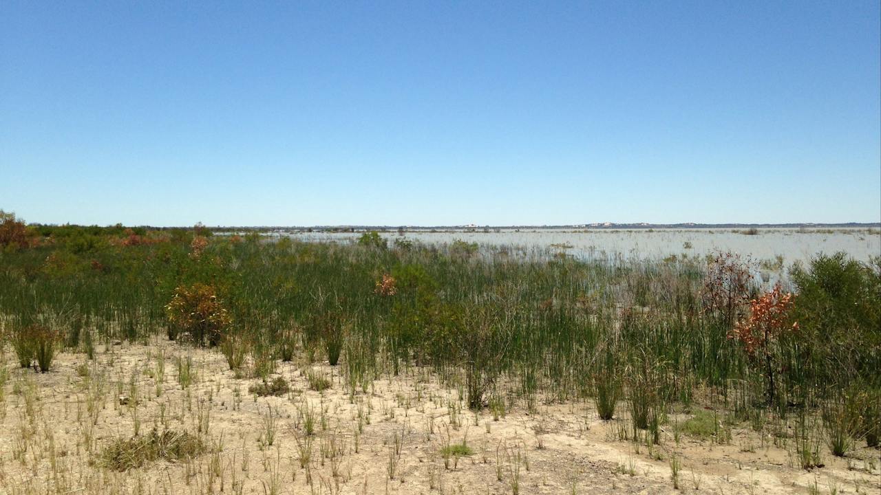 Lake Hindmarsh