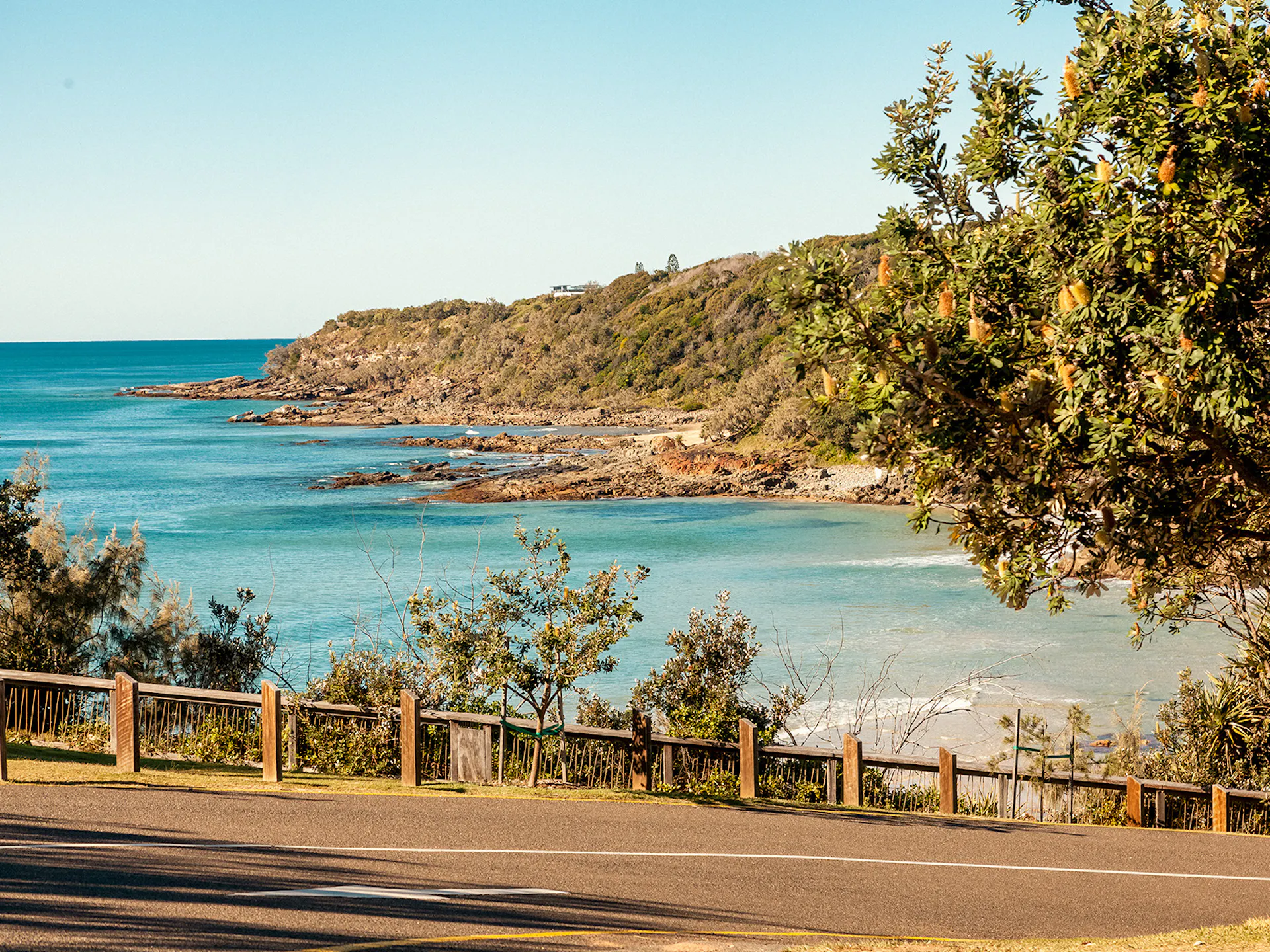 Tropical blue ocean fringed with australian coastal natives