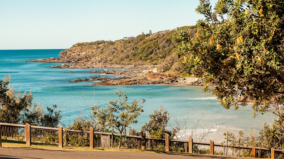 Tropical blue ocean fringed with australian coastal natives