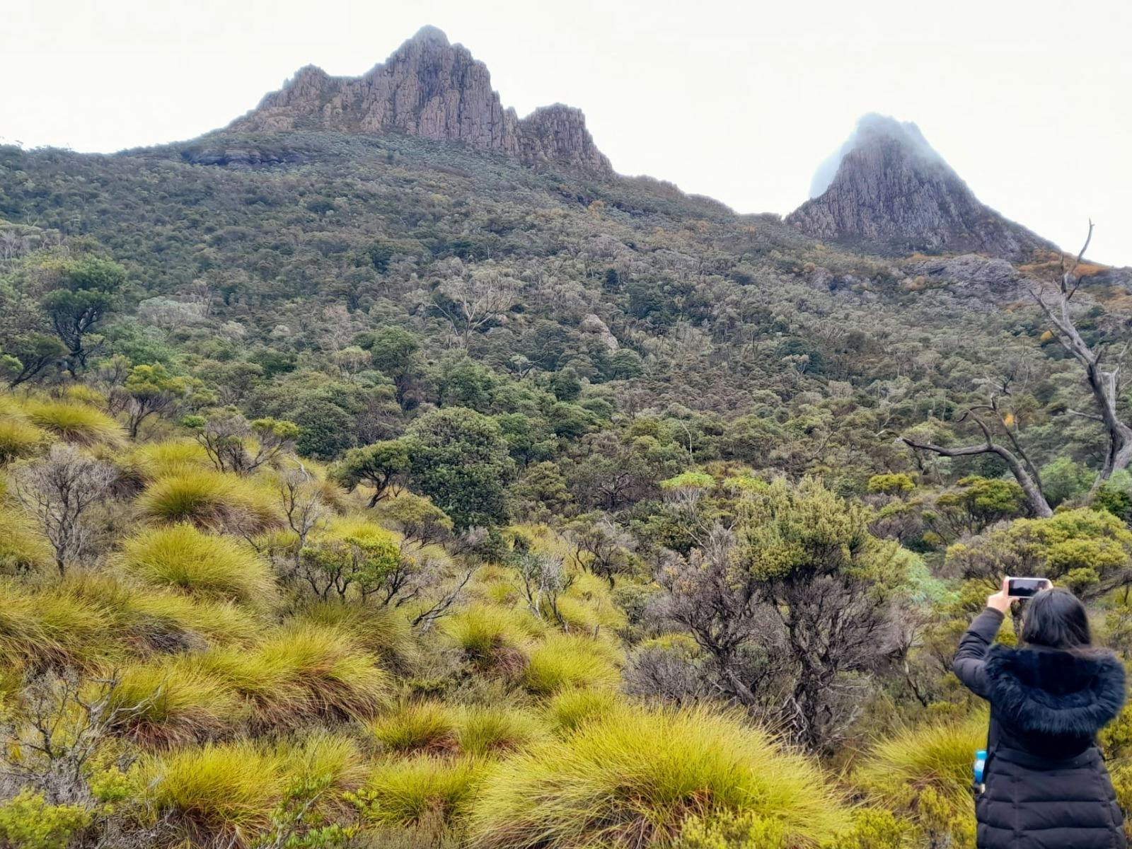 Cradle Mountain beauty