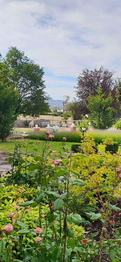 Plentiful parking, easy disabled access