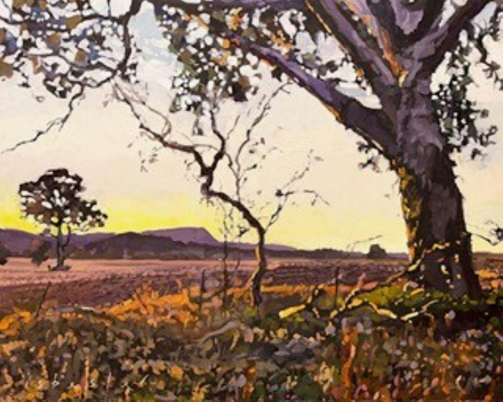 An Australian landscame with a tree in the foreground and a red dirt road