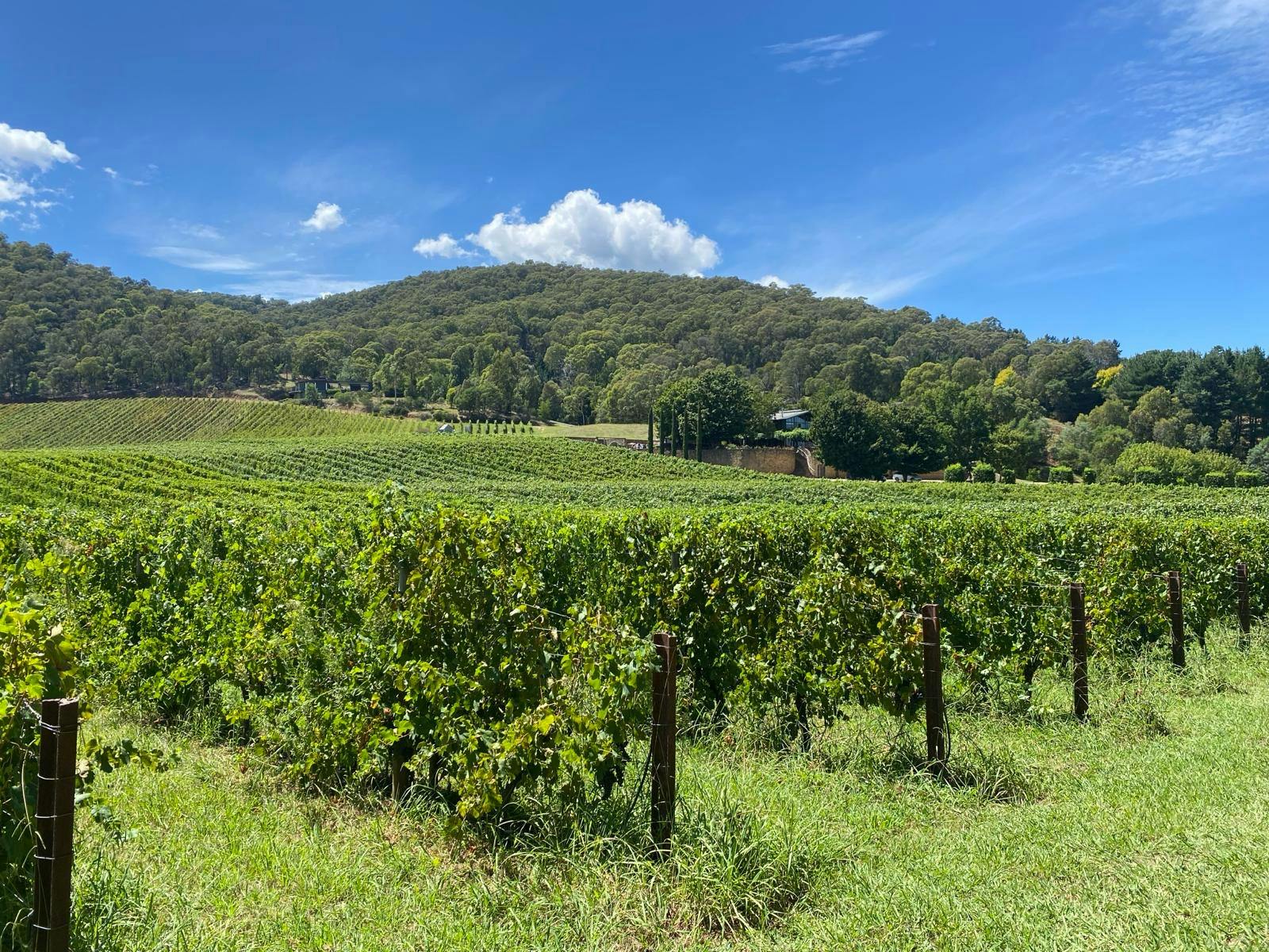 High Country Rail Trails Tour