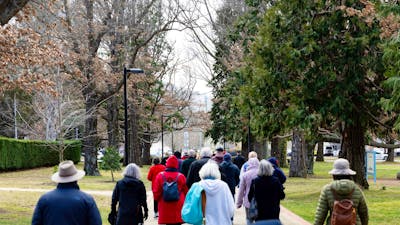 A group of people walking on a tree lined path