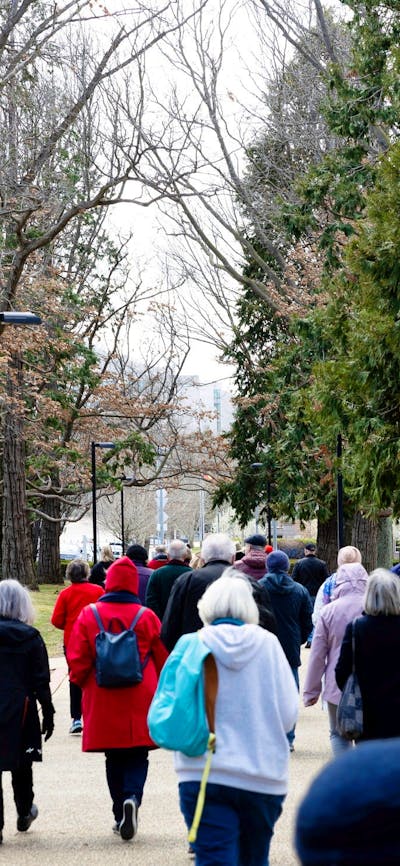 A group of people walking on a tree lined path
