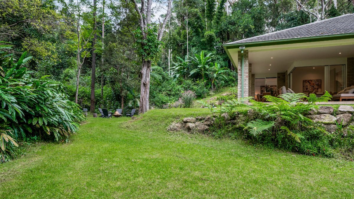 Home surrounded by towering gums and sub tropical rainforest
