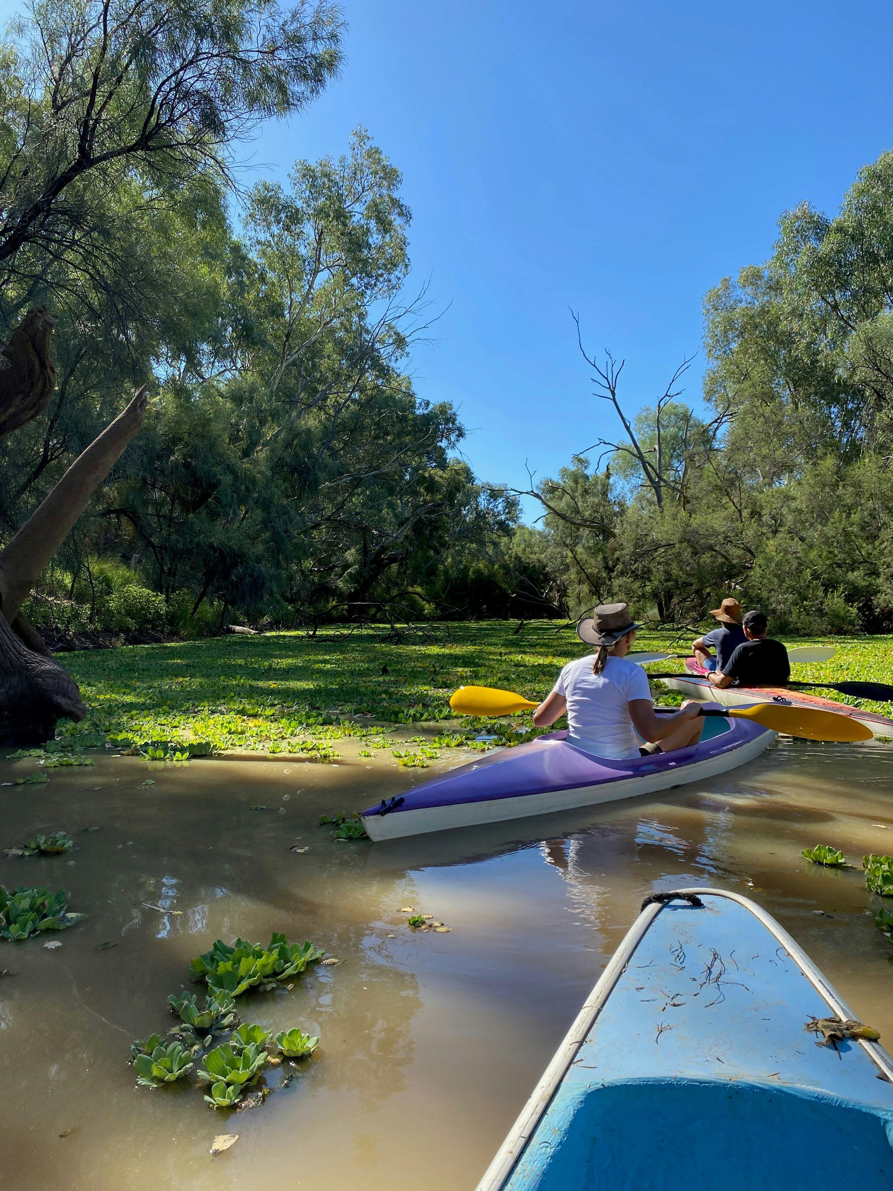 Ticklemans Garden Kayaking