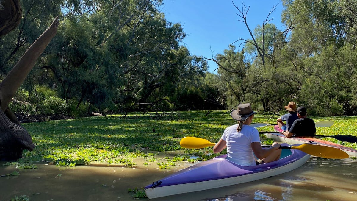 3 people in 2 Kayaks kayaking along the Warrego River at Ticklemans Gardens