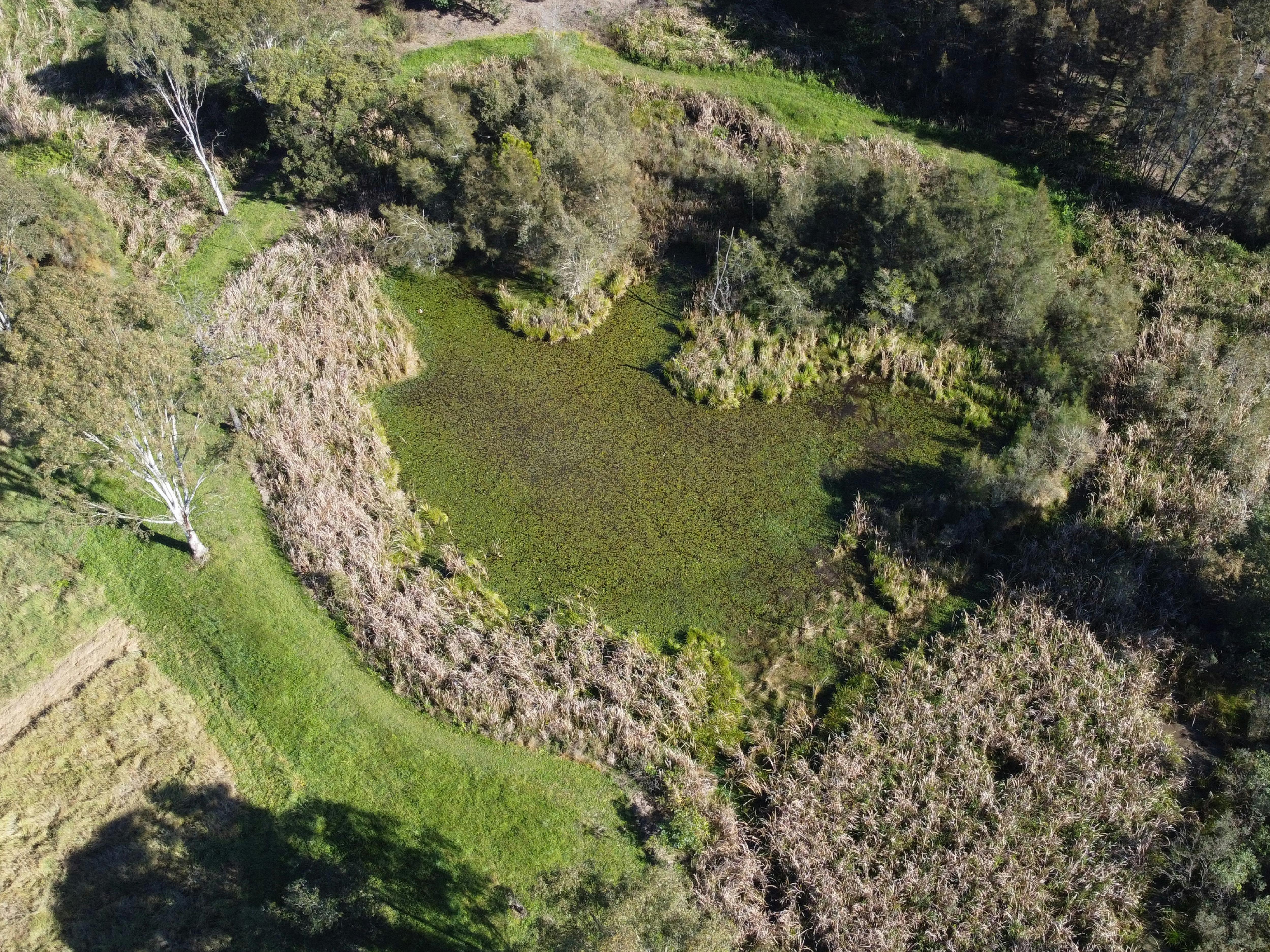 Aerial Shot of Jabiru Geneebeinga Wetlands