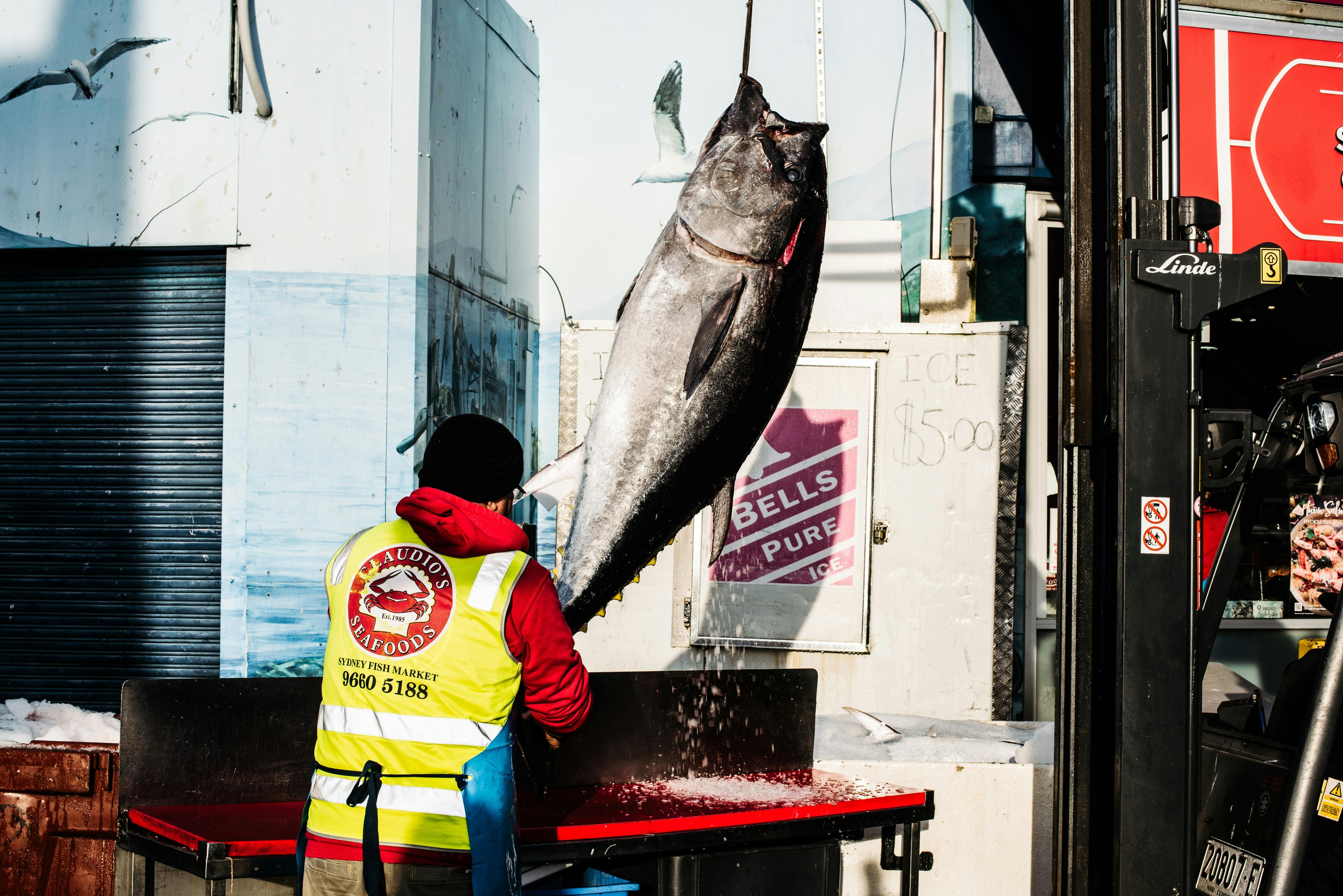 Sydney Fish Market
