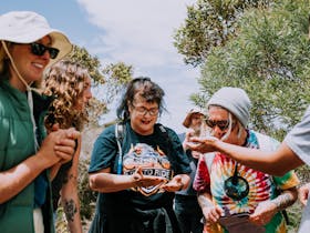 Dabungool Cultural Experiences